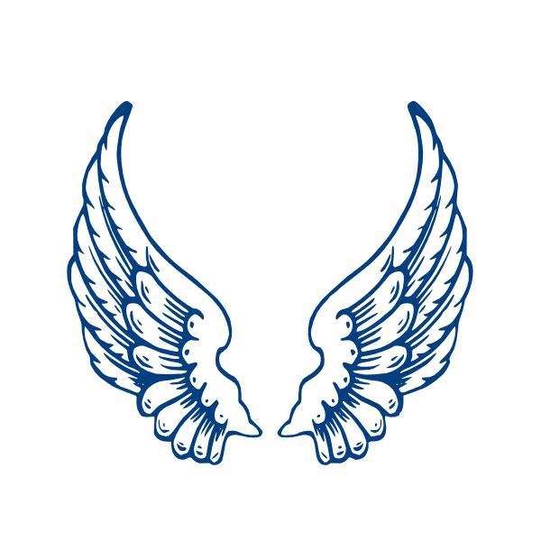 Angel Wings GRATUIt PNG image