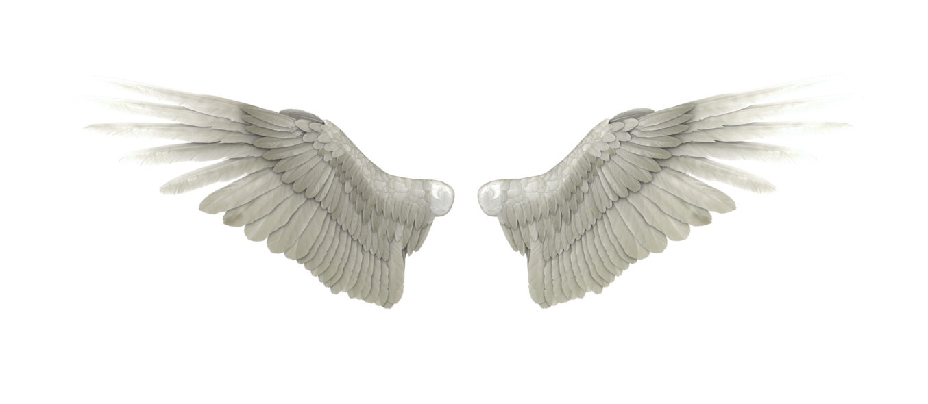 천사 날개 PNG 고품질 이미지