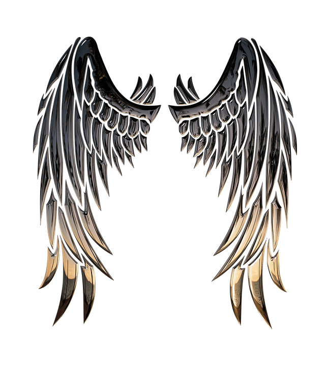 Imagen de Angel Wings PNGn de alta calidad