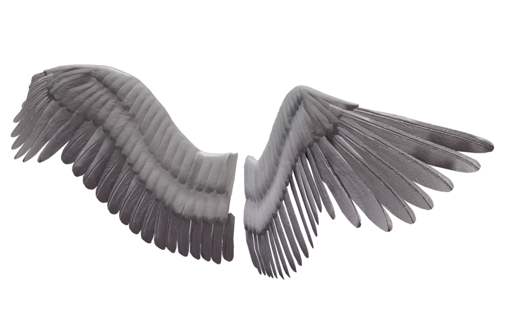 Angel Wings PNG Gambar Latar Belakang