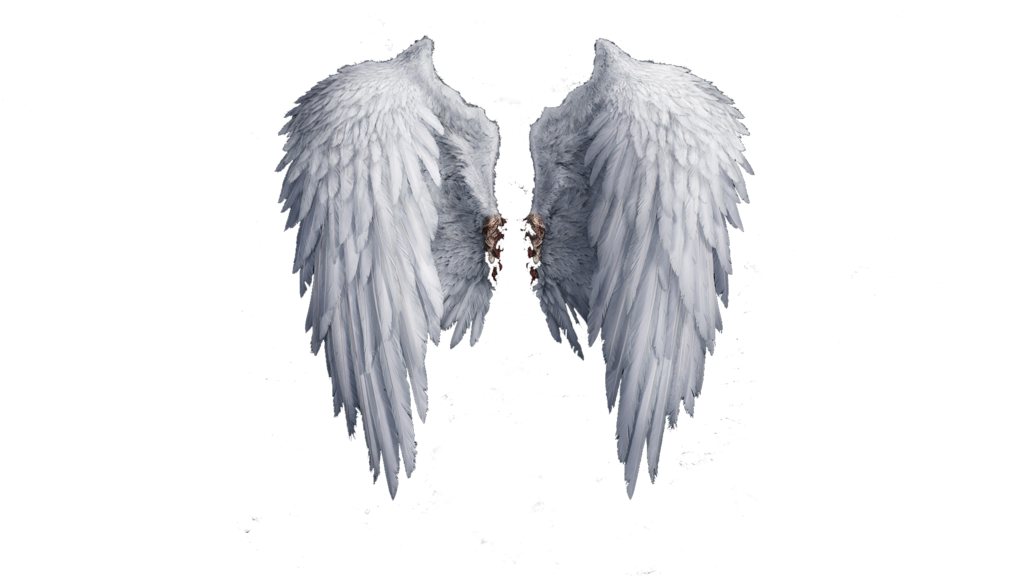 천사 날개 PNG 사진
