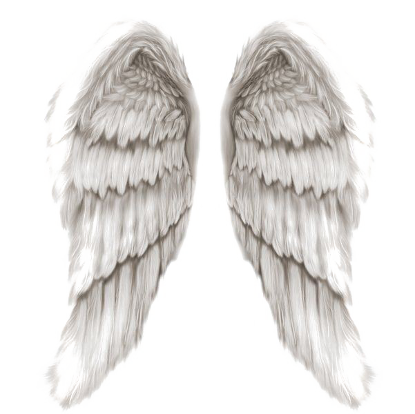천사 날개 PNG 투명 이미지