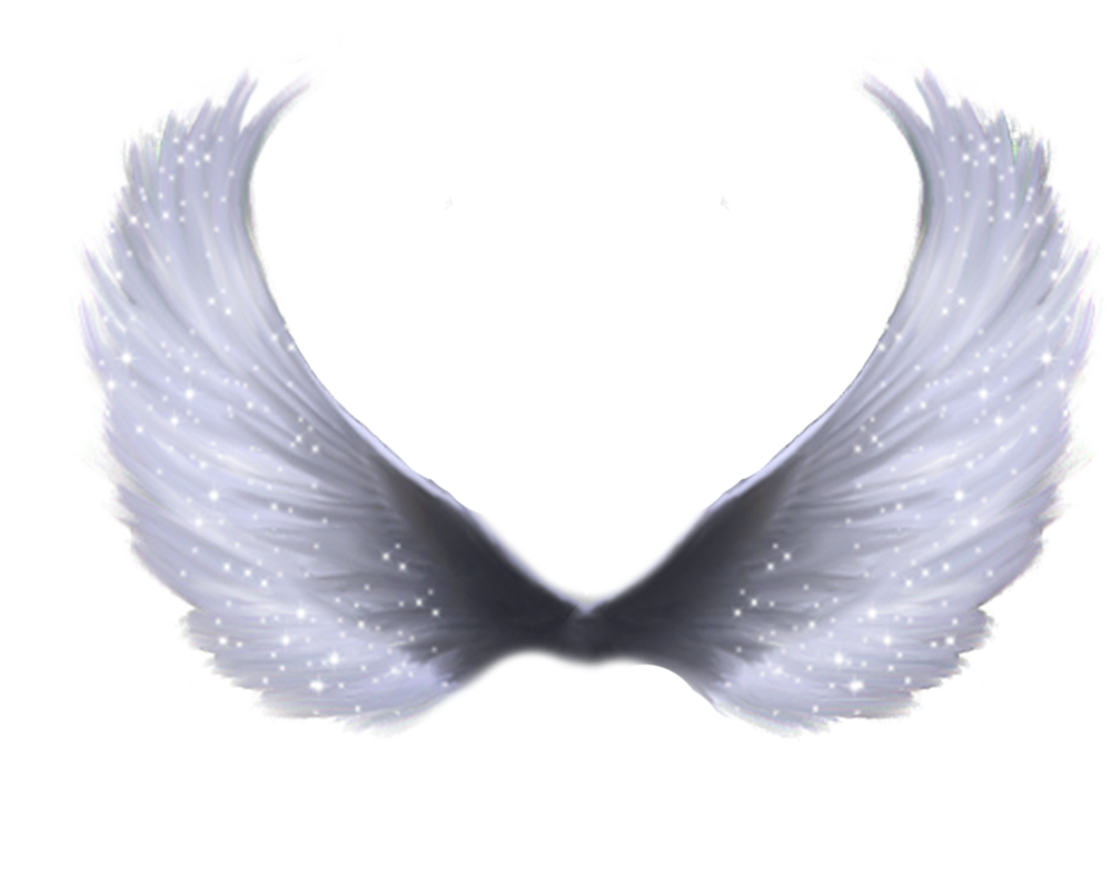 Angel Wings PNG Transparent Image