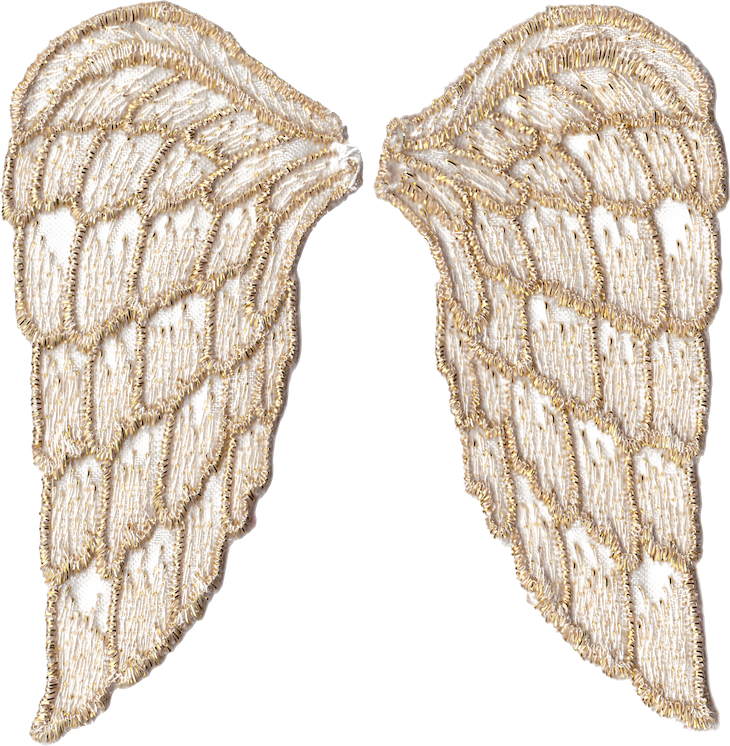 Fondo Transparente de alas de ángel PNG