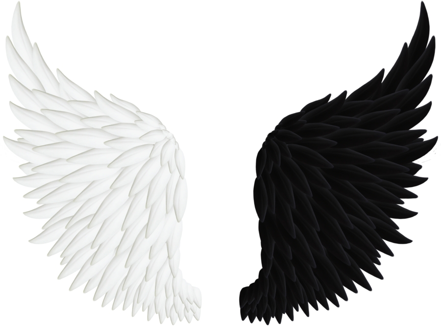 Angel Wings Image Transparente