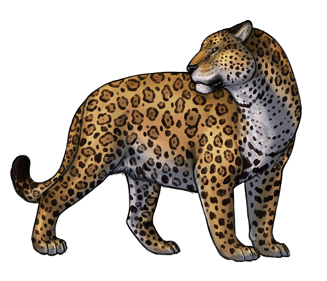 Animal Jaguar Free PNG Image