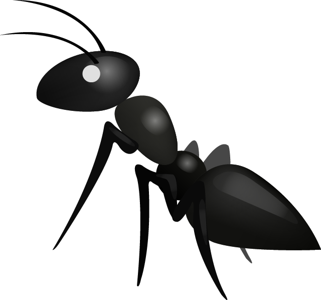 Ant PNG Photo