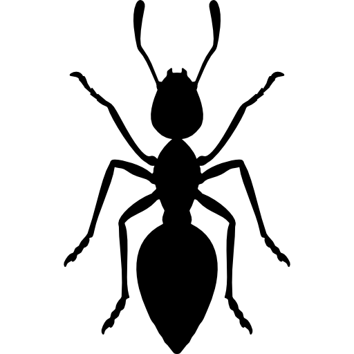 صورة شفافة النمل
