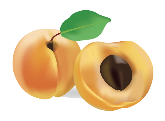 Apricot Open PNG Image Background