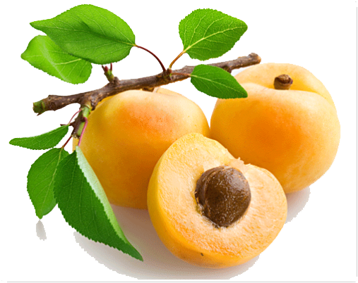 Apricot Open PNG Image