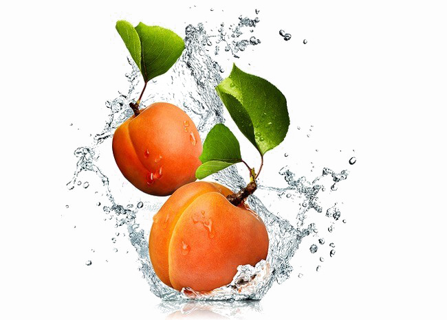 Apricot PNG Image Background
