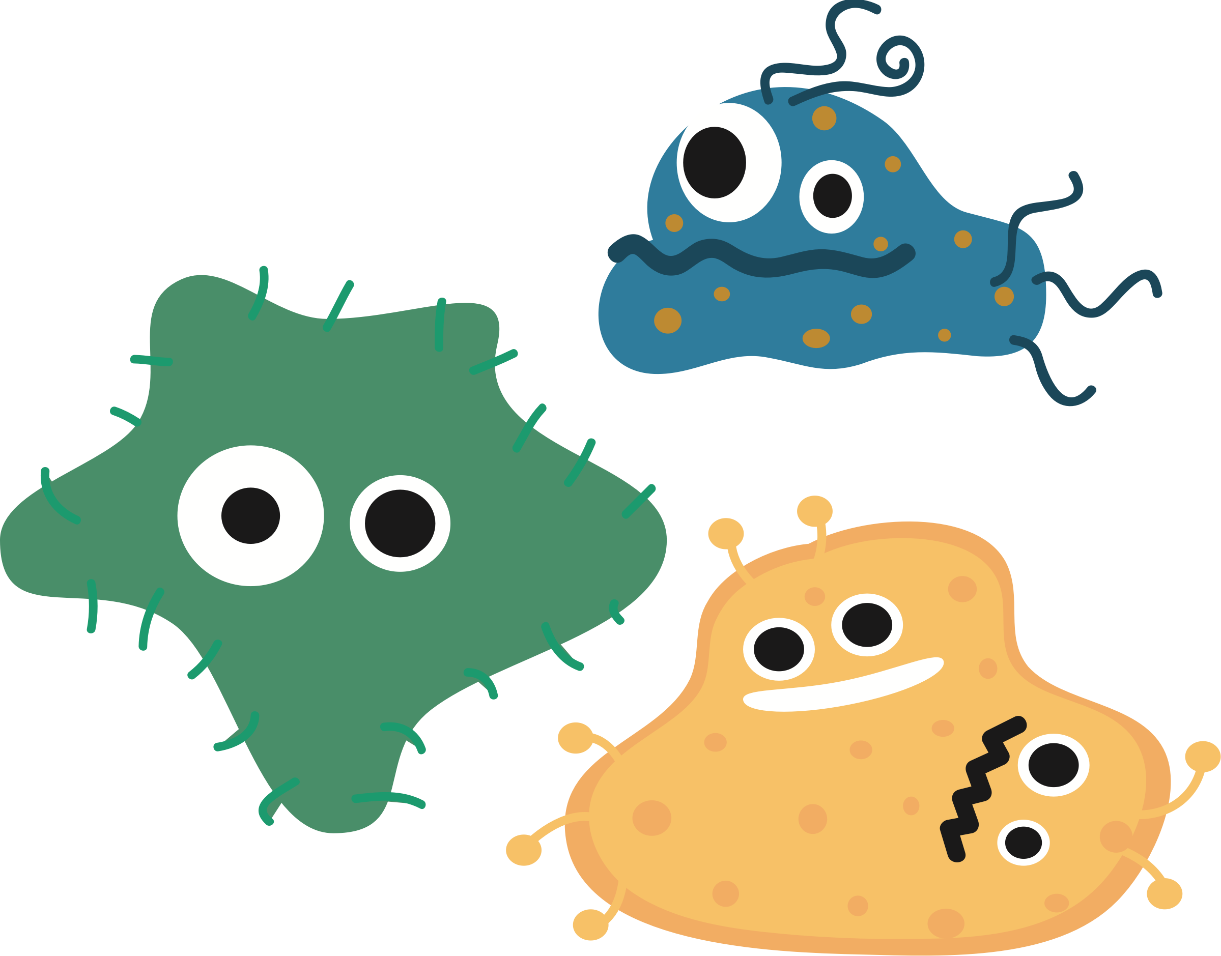 Bacteria Free PNG Image