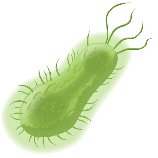 Bacteria PNG Image Background