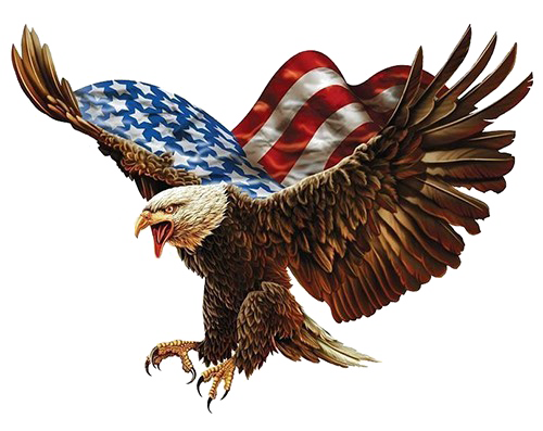 Bald Eagle Scarica limmagine PNG