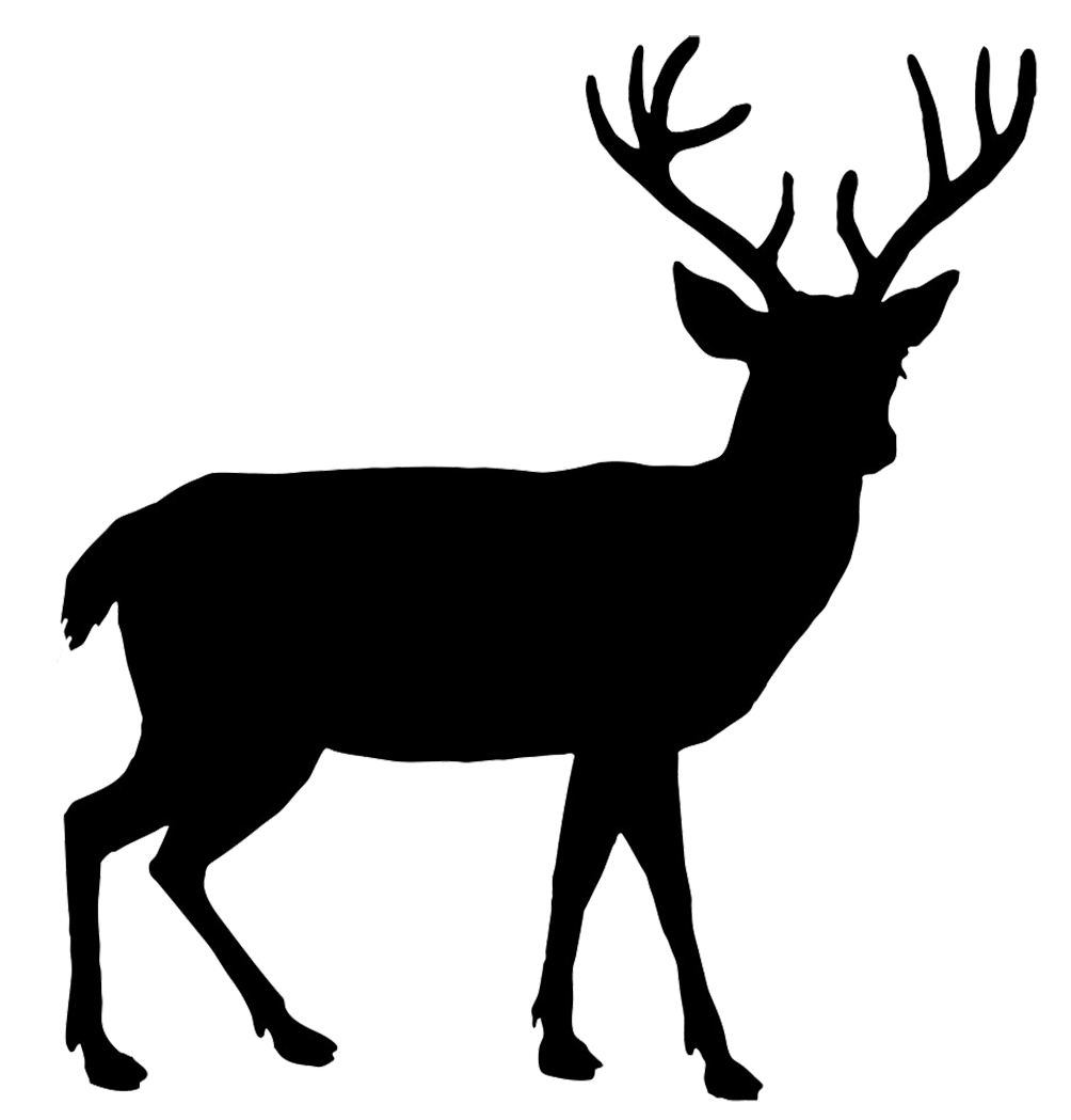 Barasingha Deer PNG Download Image | PNG Arts