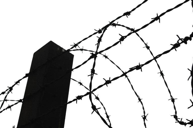 Barbwire PNG Image with Transparent Background