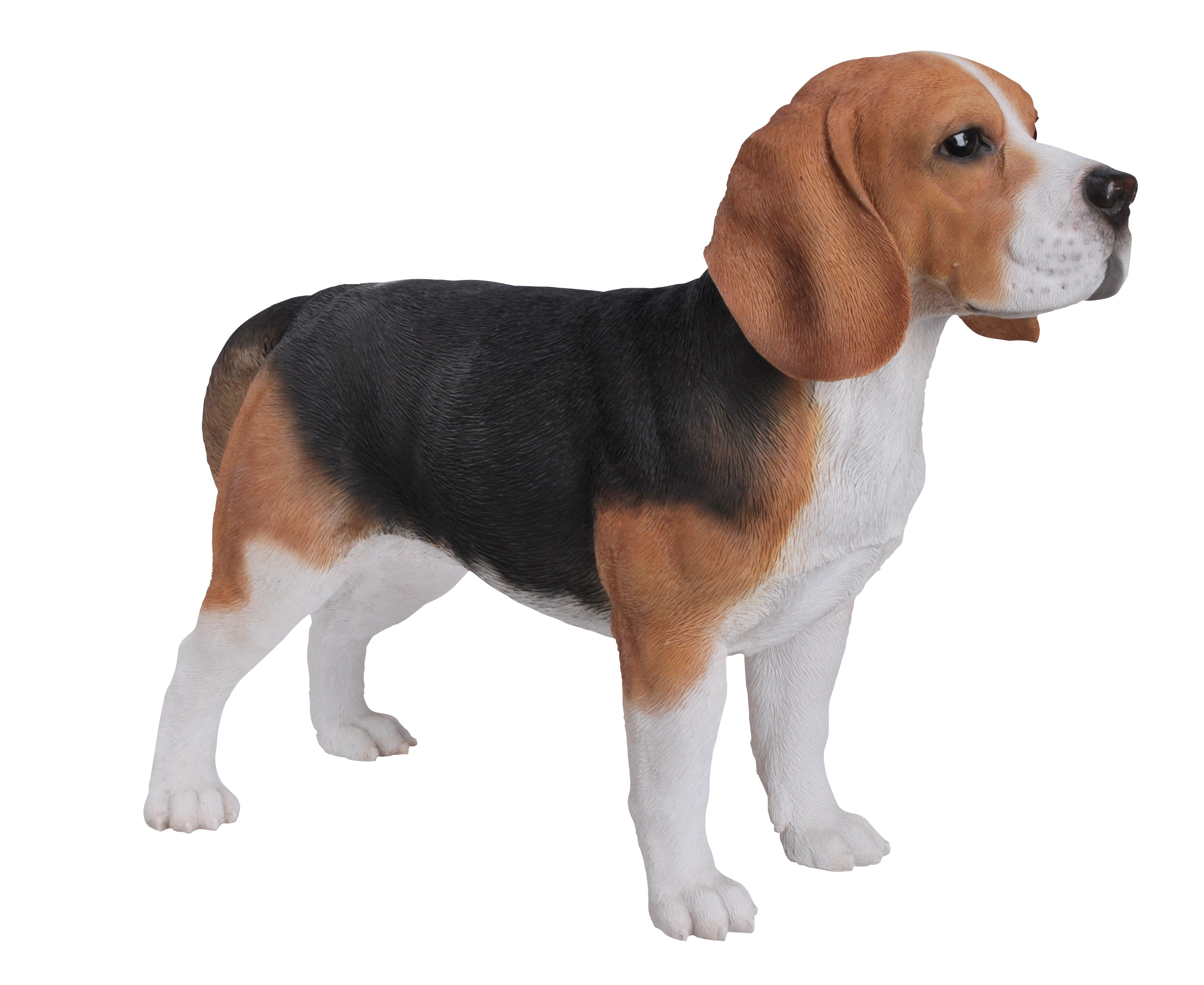 Beagle PNG Download Image