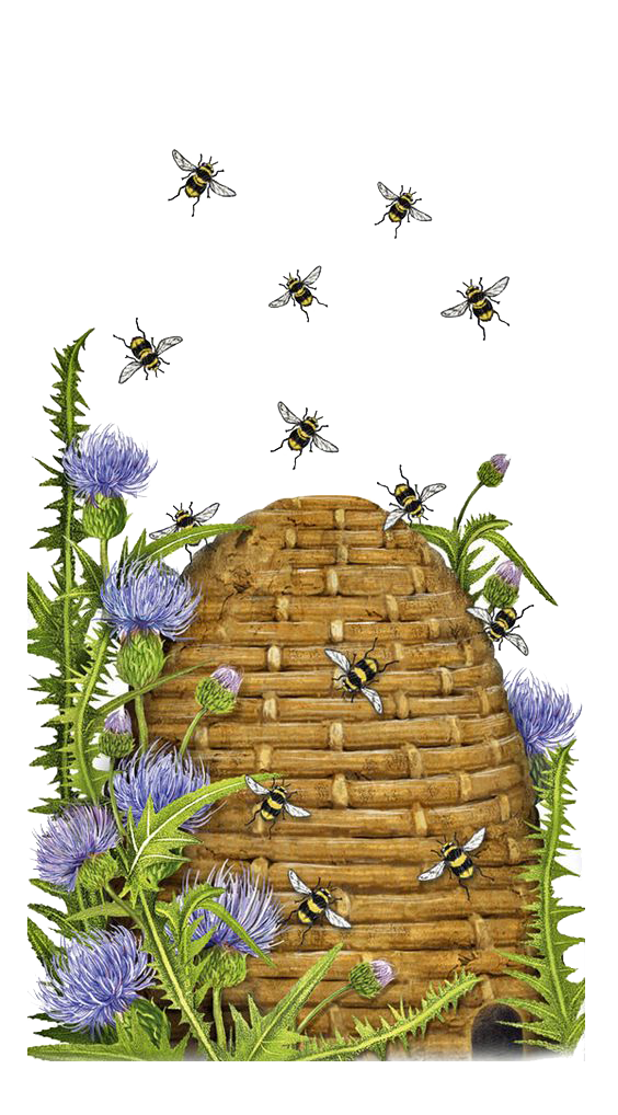 Bee Download PNG Image