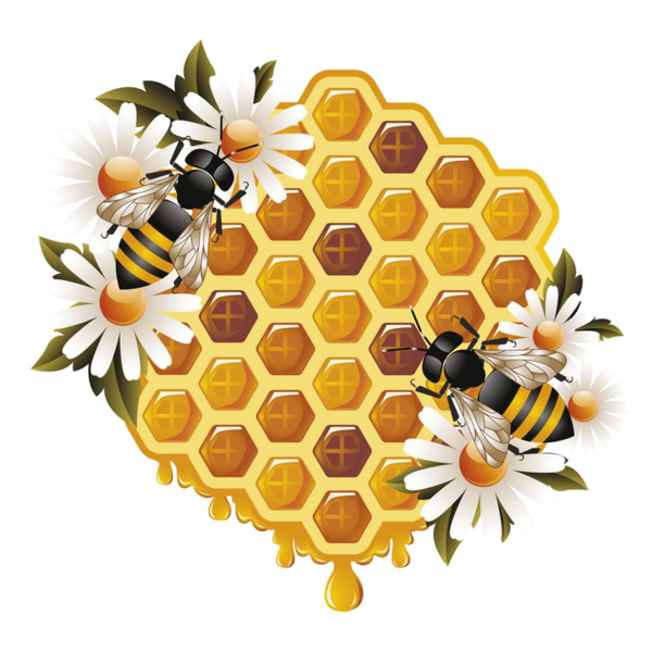 Bee PNG Download Image
