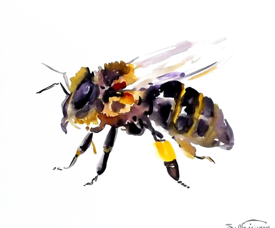 Bee Transparent Background PNG