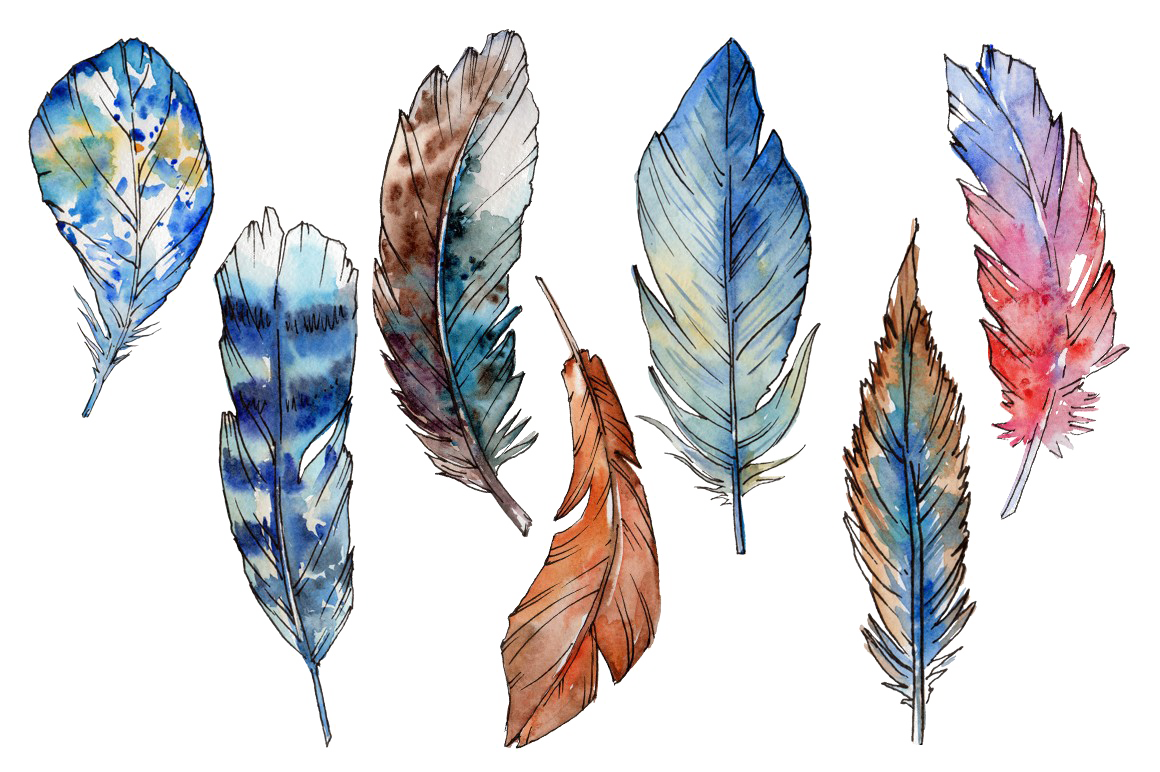 Bird Feather PNG descarga gratuita