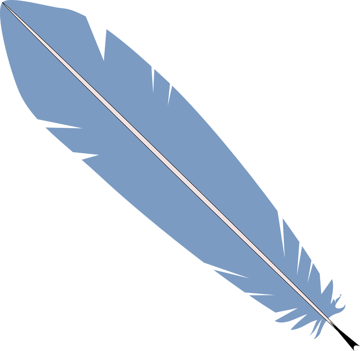 Bird Feather PNG High-Quality Image