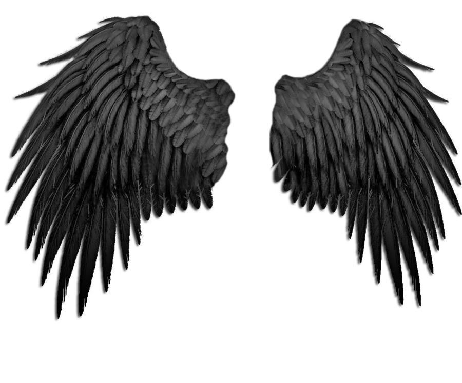 أجنحة الملاك الأسود صورة PNG مجانية