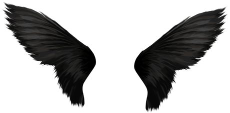 Black Angel Wings PNG Télécharger limage