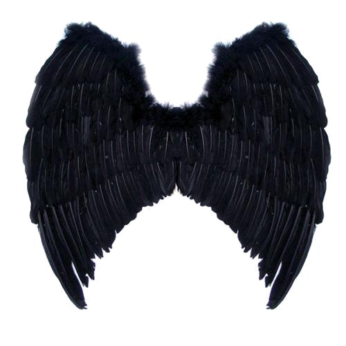 Fondo de imagen PNG de alas de ángel negro