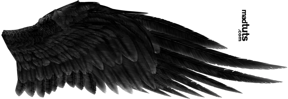 Black ange ailes PNG image avec fond Transparent