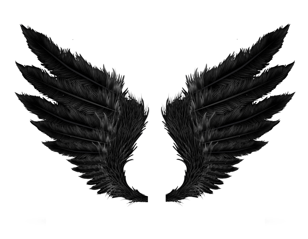검은 천사 날개 PNG 투명 이미지