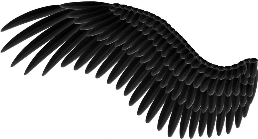Siyah melek kanatları şeffaf arka plan PNG