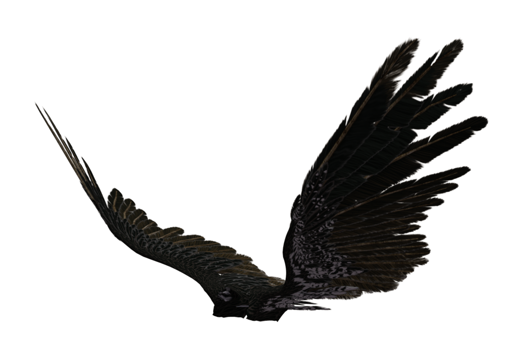 검은 천사 날개 투명 이미지