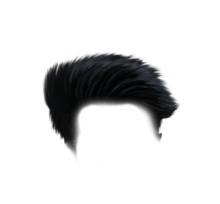 Schwarzes Haar PNG Pic