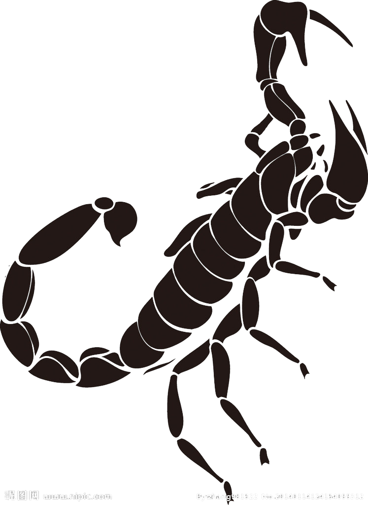 Immagine di PNG gratuita Scorpione nero