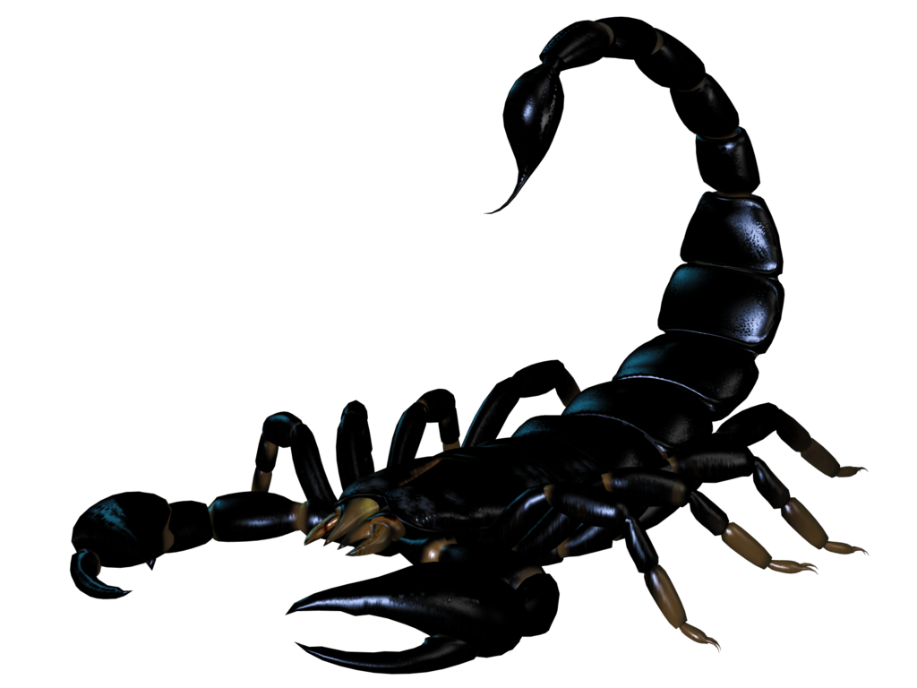 Pic noir scorpio PNG