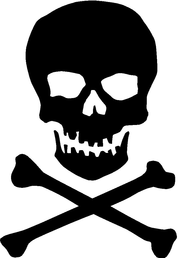 Zwarte schedel PNG Transparant Beeld