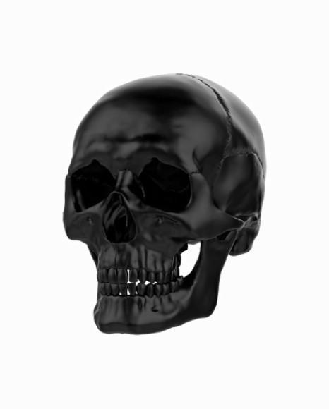 Черный череп прозрачный образ