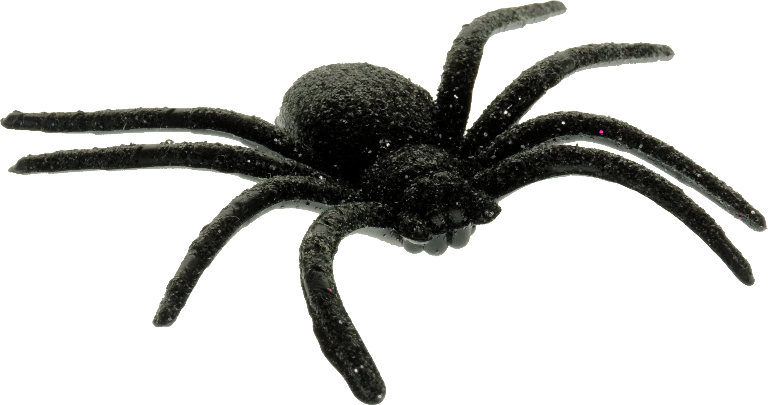 Black Spider PNG Download Image