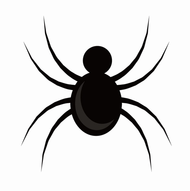 Black Spider PNG Image