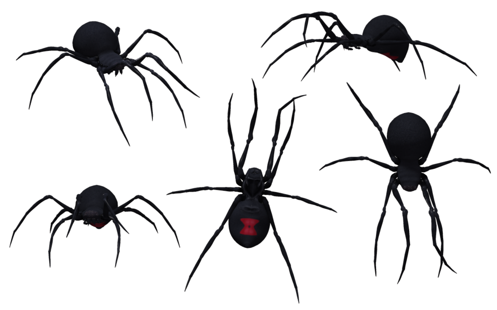 Black Spider PNG Photo