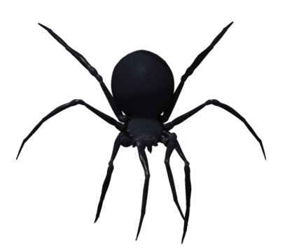 PIC SPIDER NERO PNG