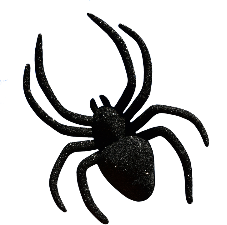 Black Spider PNG Picture