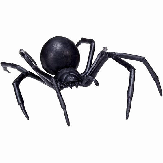 Black Spider PNG Transparent Image