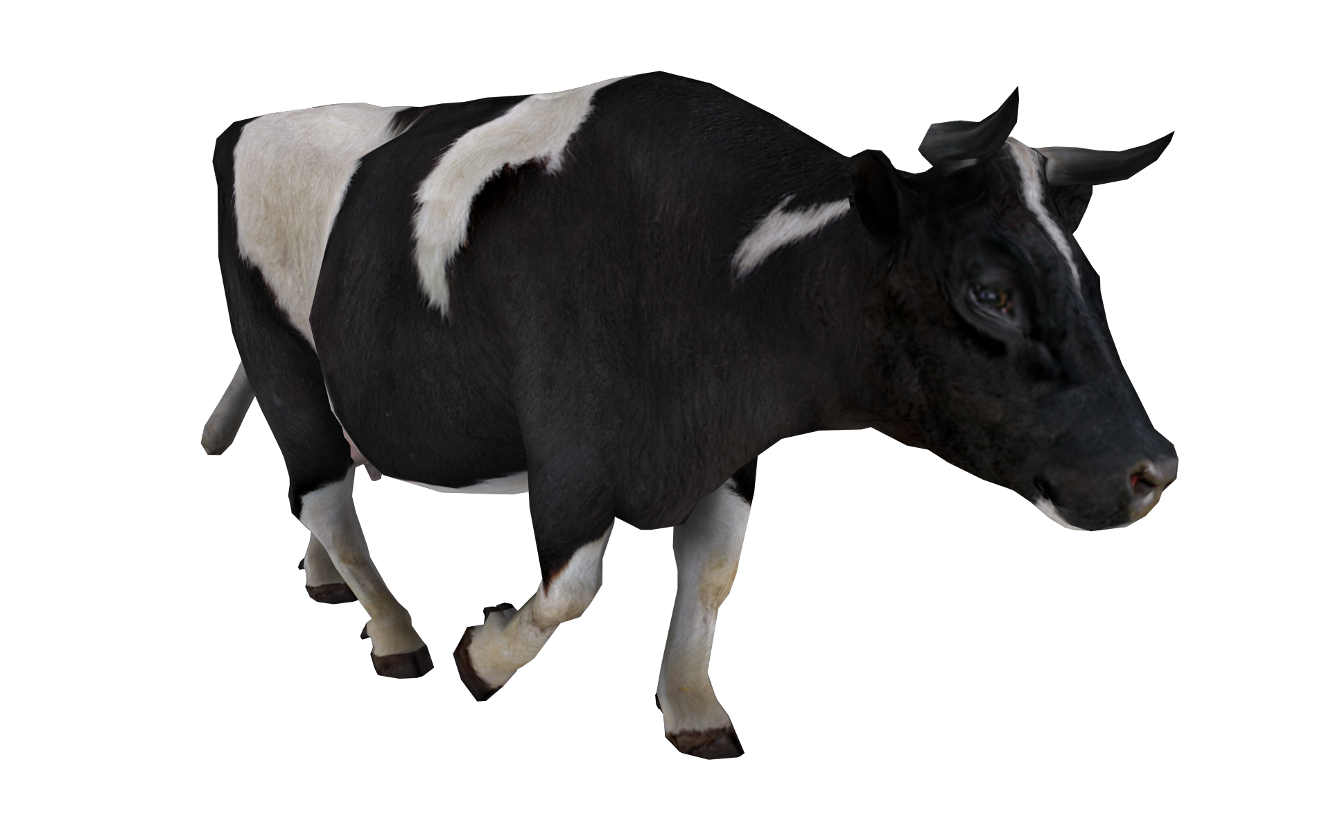 Black Spots Cow PNG Pic
