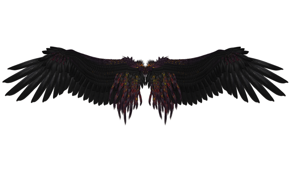Black Wings Free PNG Image