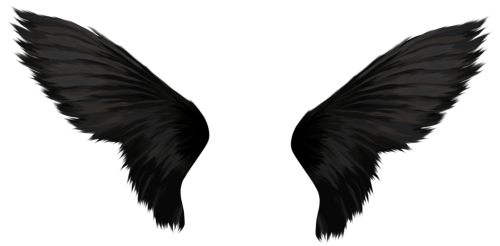 Black Wings PNG Hochwertiges Bild