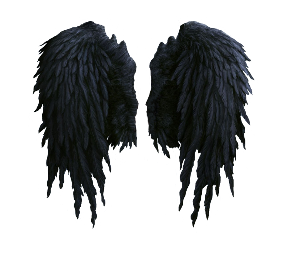 Schwarzes Wings PNG-Bild