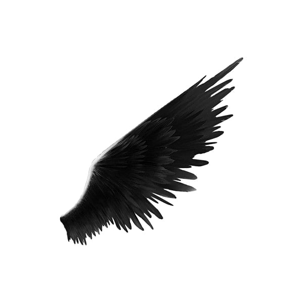 검은 날개 PNG 투명한 이미지