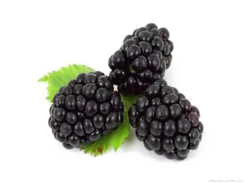 Blackberry Fruit Download PNG Image